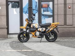Manken 150 cc - фото 4