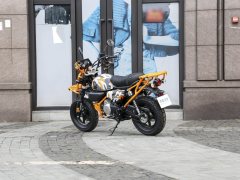 Manken 150 cc - фото 5