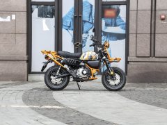 Manken 150 cc - фото 8