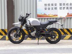 Hanwe G30 250 cc - фото 4