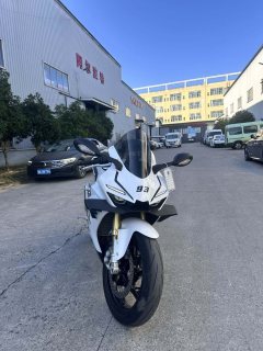 Zhangxue Motorcycles 500RR - фото 3
