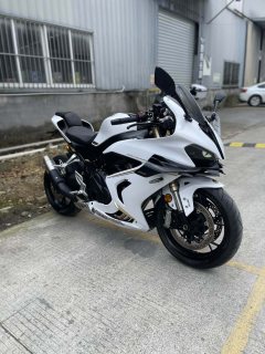 QJMOTOR 800 - фото 1
