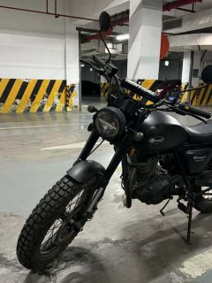 Qingqi U-Knight Bigfoot Crawler 250 cc - фото 3