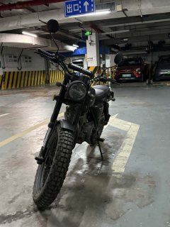 Qingqi U-Knight Bigfoot Crawler 250 cc - фото 5