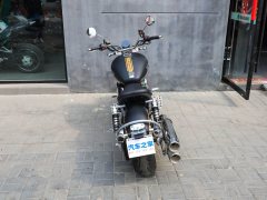 Mojiang 800 cc - фото 9
