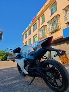 CFMOTO 250SR - фото 9