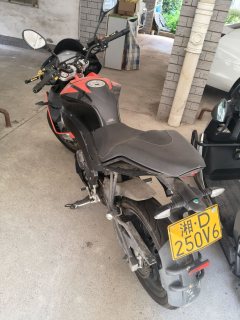 Zongshengapuliya GPR250S - фото 2