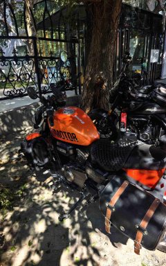 QJMOTOR 300 - фото 1