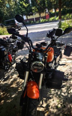 QJMOTOR 300 - фото 2