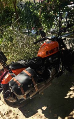 QJMOTOR 300 - фото 3