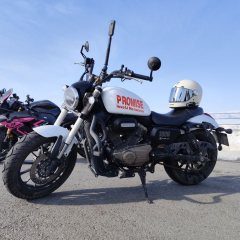 QJMOTOR 300 - фото 2