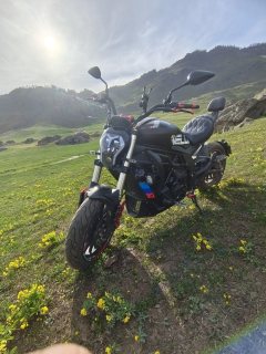 Benelli 502C 500 cc - фото 2