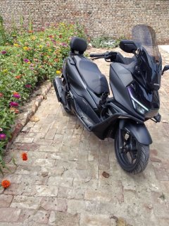 Sundiro Honda NS150GX - фото 6