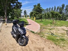 Sundiro Honda NS125RX - фото 6