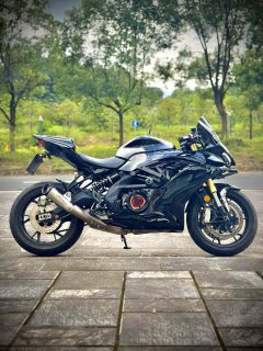 QJMOTOR 600 - фото 6