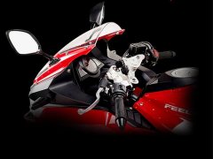 Feiling 450 - фото 8