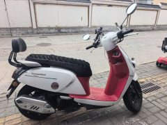 QJMOTOR 150 - фото 1