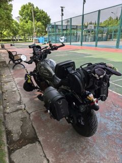 CFMOTO 450CL-C - фото 6