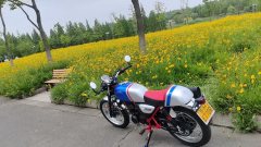 Wuyang Honda CGX150 - фото 2