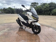 Sundiro Honda NS150GX - фото 5