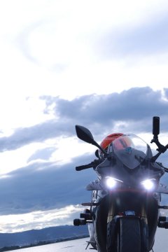 QJMOTOR 600 - фото 4