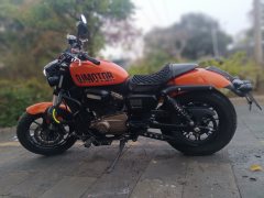 QJMOTOR 300 - фото 1
