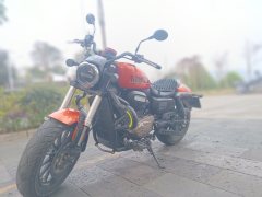 QJMOTOR 300 - фото 3