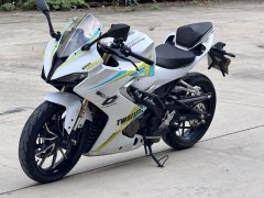 QJMOTOR SRK 250 - фото 3