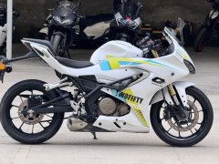 QJMOTOR SRK 250 - фото 4
