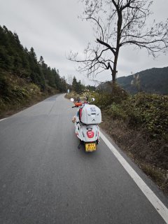 Wuyang Honda NWF125 - фото 10