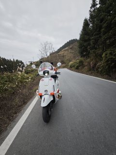 Wuyang Honda NWF125 - фото 11