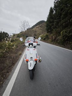 Wuyang Honda NWF125 - фото 3