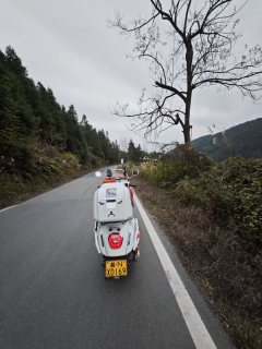 Wuyang Honda NWF125 - фото 4