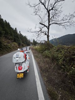 Wuyang Honda NWF125 - фото 8