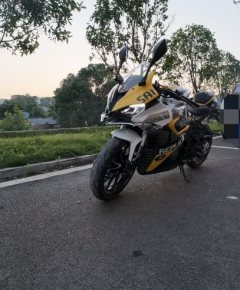 QJMOTOR SRK 250 - фото 2