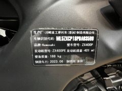 Kawasaki ZX-4R 400 cc - фото 6