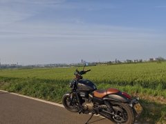 QJMOTOR 300 - фото 1