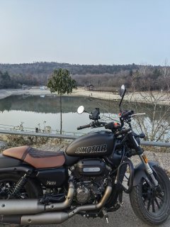 QJMOTOR 300 - фото 4
