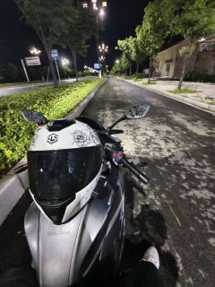 QJMOTOR 250 - фото 1