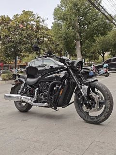 Hyosung GV650 - фото 3
