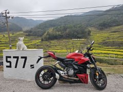 Ducati Street Fighter V2 950 cc - фото 3