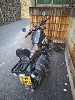 Cyclone RA2 250 cc - фото 2