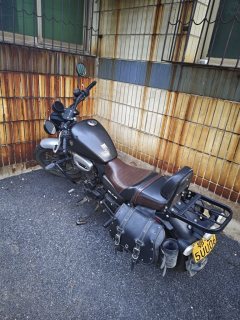 Cyclone RA2 250 cc - фото 3