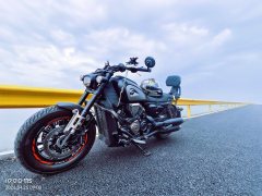 QJMOTOR 600 560 cc - фото 2