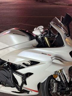 QJMOTOR 600 680 cc - фото 1