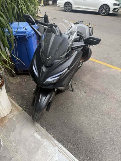 QJMOTOR Hong 250 - фото 2