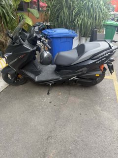 QJMOTOR Hong 250 - фото 3