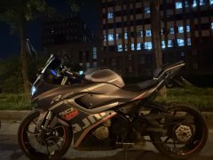 QJMOTOR SRK 250 - фото 1