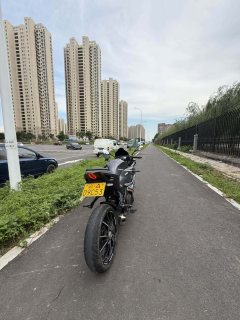 QJMOTOR SRK 250 - фото 5