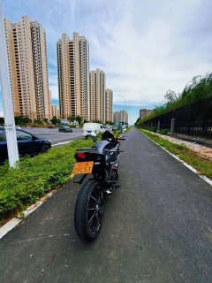 QJMOTOR SRK 250 - фото 6